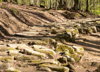 Vie di Roma: ecco le più antiche strade romane