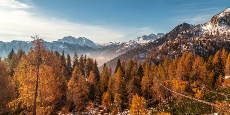 Val Pesarina