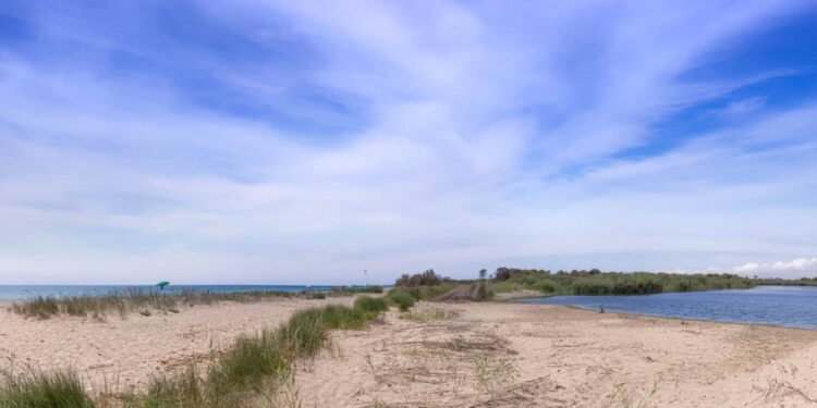 Il Parco naturale regionale Litorale di Ugento è un parco naturale della Puglia. Il parco è statp istituito nel 2007. Oltre alle spiagge il parco presenta un importante Parco Naturale.