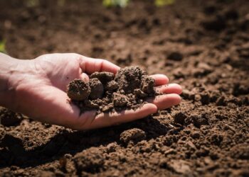 Giro d'Italia per la salute dei terreni agricoli