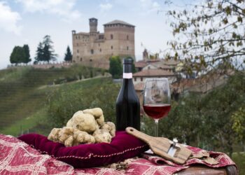 fiera internazionale del tartufo bianco